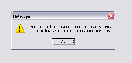 Netscape errors out.